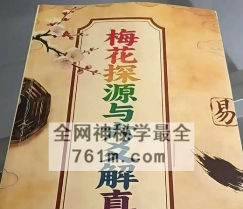 J180梅花探源与六爻解真（精华版）PDF电子书360页