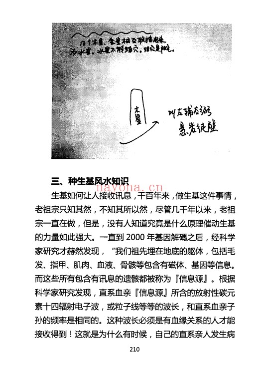 无量子种生基风水改运修订版266页PDF 种生基