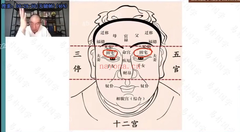 贾继茂盛麻衣相法54集视频+课件 面相教程