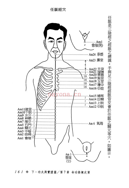 张乙尹仙家修炼之理论与实证252页PDF 道家功法