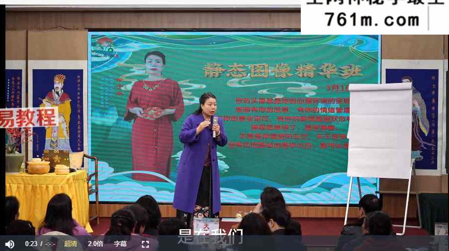 子辰《静态图像精华班》8集视频