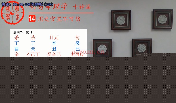徐丙昕四柱八字十神篇15集视频 八字教程