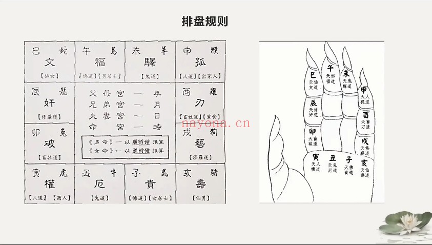 安杰达摩一掌经推命术6集视频 一掌经教程