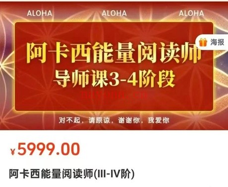 雅琳阿卡西能量阅读师1-4阶音频课 阿卡西教程