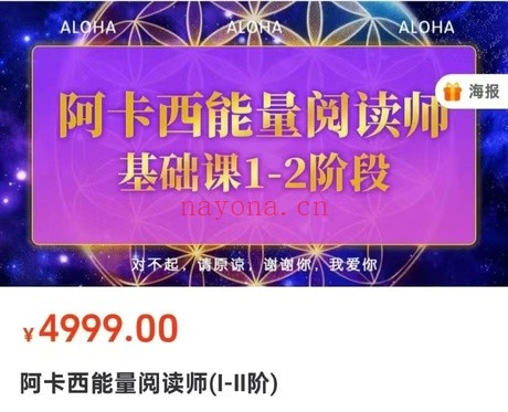 雅琳阿卡西能量阅读师1-4阶音频课 阿卡西教程