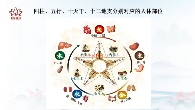 如是禅说辰南八字精批健康44集视频 八字教程