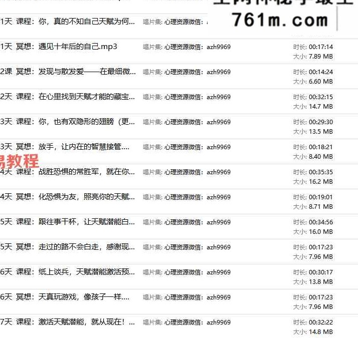 李天民 天赋潜能激活课 全方位激活你的天赋潜能 课程+功课+冥想 音频+文档