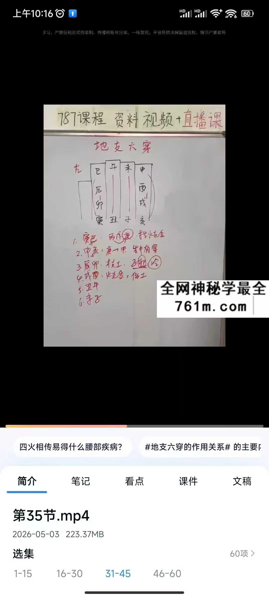 元巳八字基础课