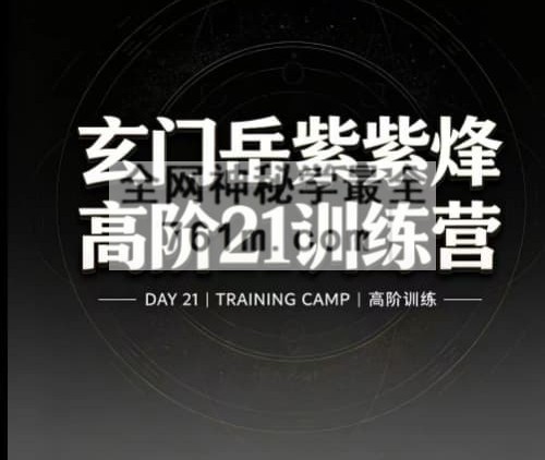 E456岳老师岳紫烽盲派高阶班（21天训练营）22集视频