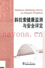 斜拉索健康监测与安全评定