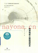 隧道地质三维探测技术
