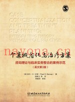 个案概念化与治疗方案