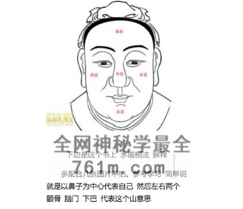 C417《实用面相秘籍》易真子PDF电子书 238页