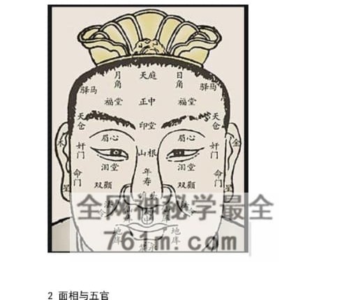C417《实用面相秘籍》易真子PDF电子书 238页