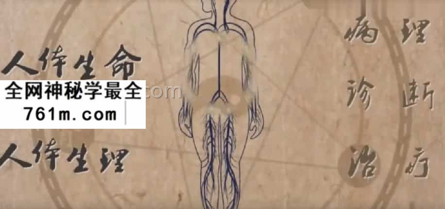 潘昭佑疾病诊断视频7集