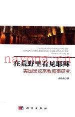 在荒野里看见耶稣  美国黑奴宗教叙事研究