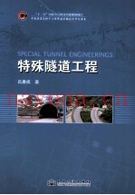 特殊隧道工程