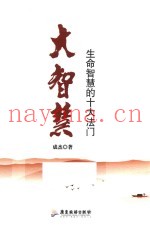 大智慧  生命智慧的十大法门