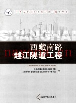 西藏南路越江隧道工程