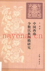 中国西南少数民族图腾研究