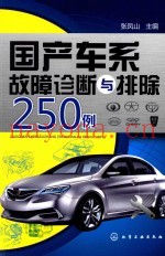 国产车系故障诊断与排除250例