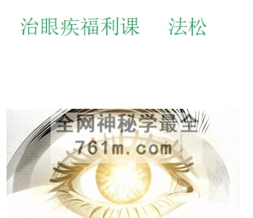 K2416法松 治眼疾 专题视频+文档