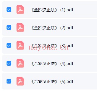 金罗汉法5册PDF 道家秘法