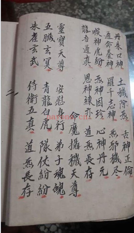 金罗汉法5册PDF 道家秘法