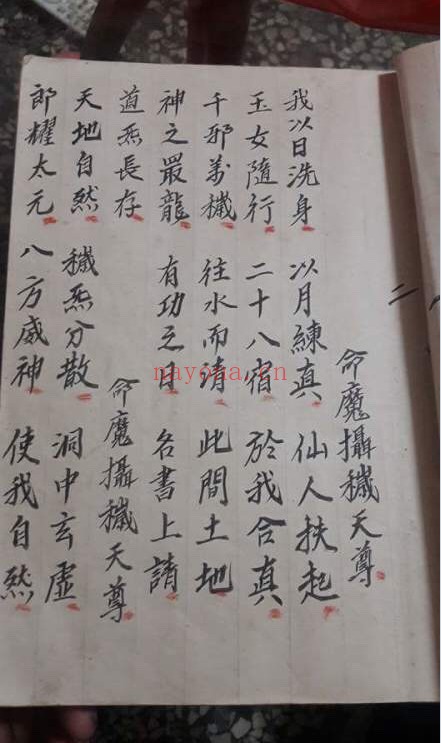 金罗汉法5册PDF 道家秘法