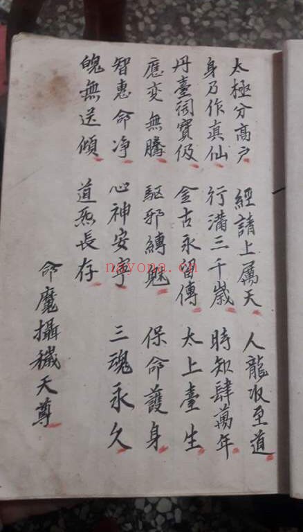 金罗汉法5册PDF 道家秘法