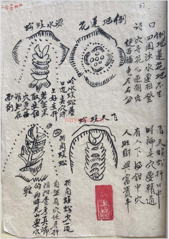 手抄珍本天机会元图张子微喝形图格78页PDF 风水秘本