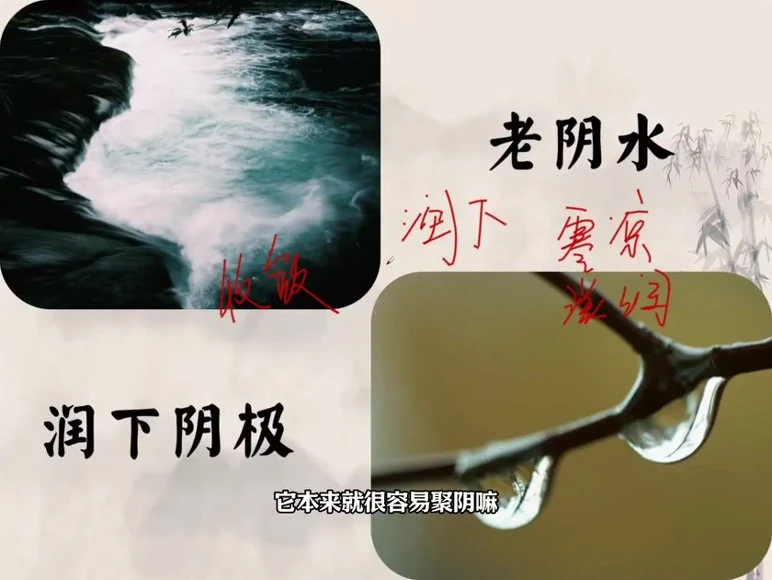 大珂命理《四柱八字》视频43集