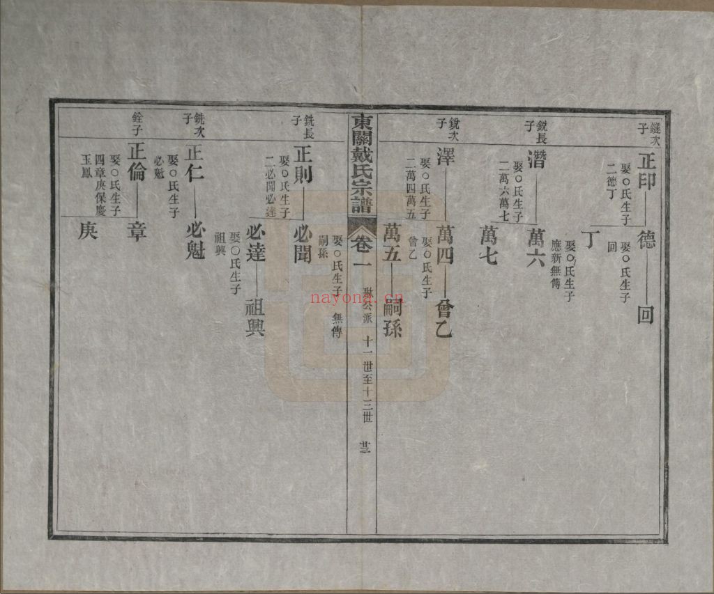 戴氏宗谱族谱(中华寻根网)共21册