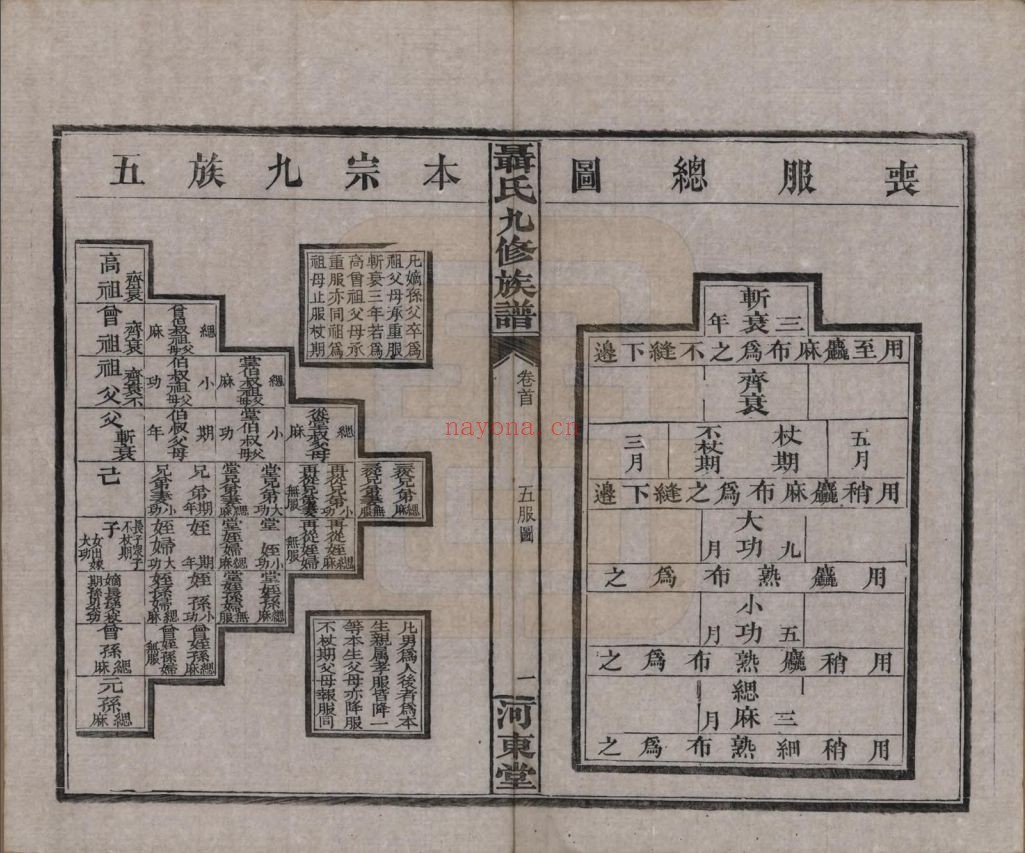 聂氏宗谱族谱(中华寻根网)共3册
