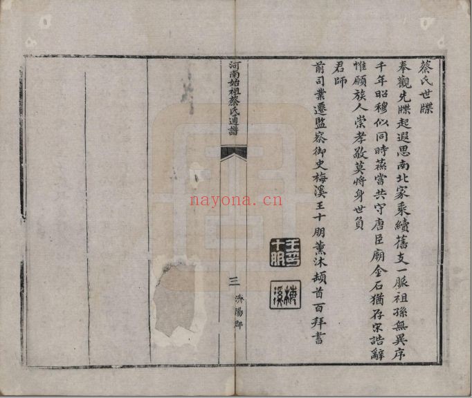 蔡氏宗谱族谱(中华寻根网)共19册