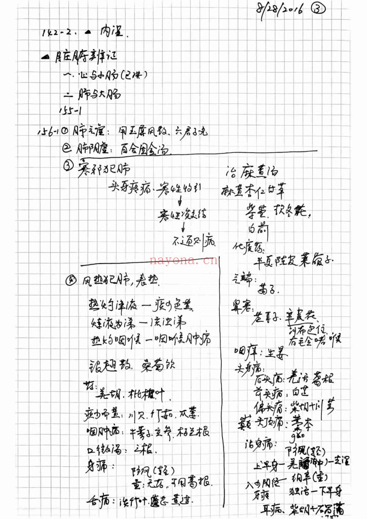 《中医学习笔记》一二集10