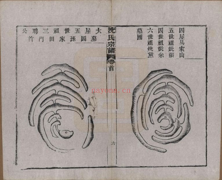 沈氏宗谱族谱(中华寻根网)共38册