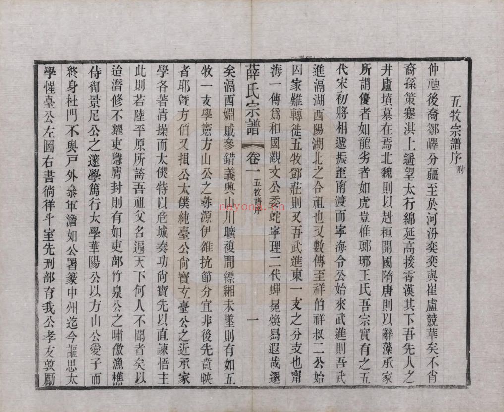 薛氏宗谱族谱(中华寻根网)共9册