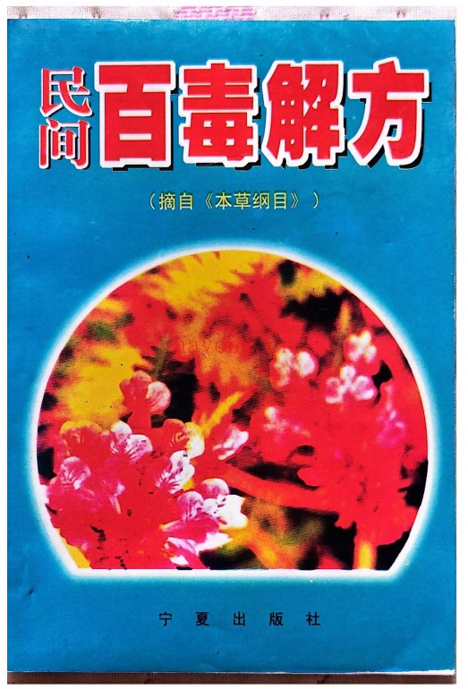 宋卫平民间百毒解方120页PDF 中医解方