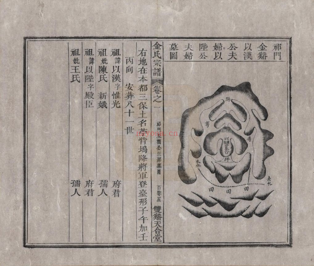 金氏宗谱族谱(中华寻根网)共22册