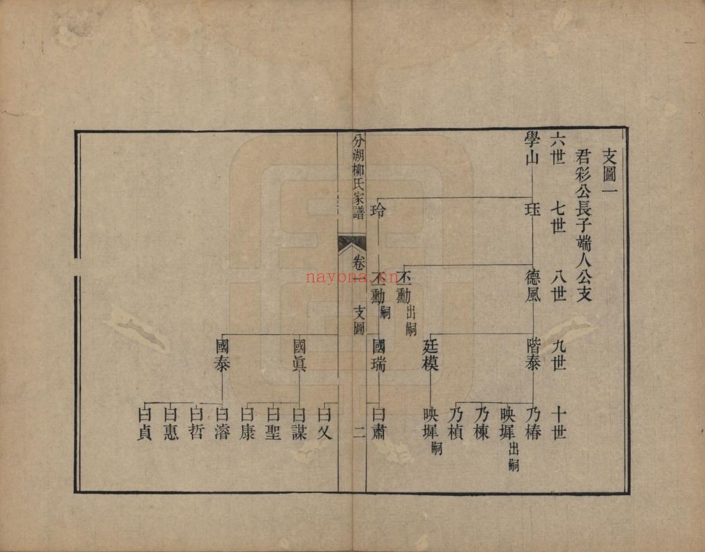 柳氏宗谱族谱(中华寻根网)共4册