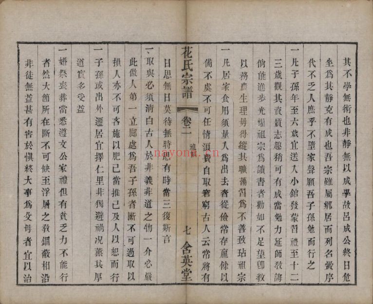 花氏宗谱族谱(中华寻根网)共2册