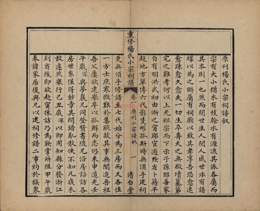 杨氏宗谱族谱(中华寻根网)共55册