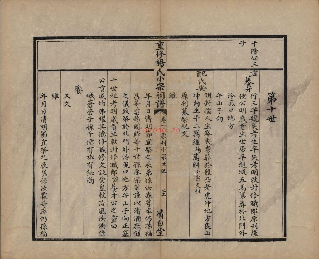 杨氏宗谱族谱(中华寻根网)共55册