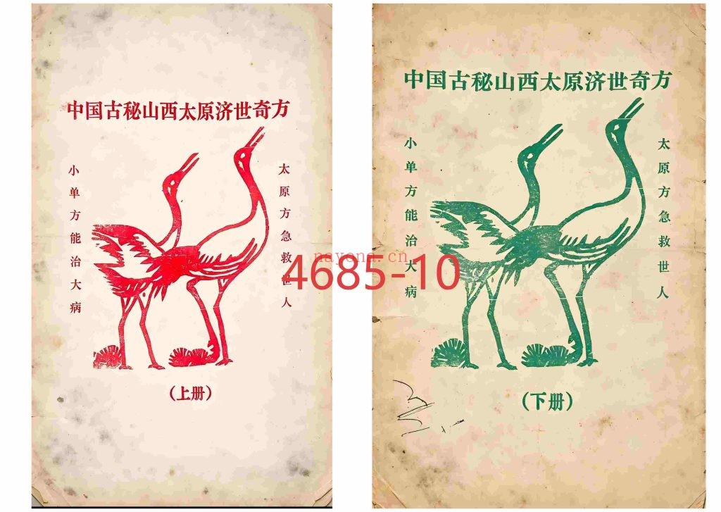 《中国古秘山西太原济世奇方》上下册10