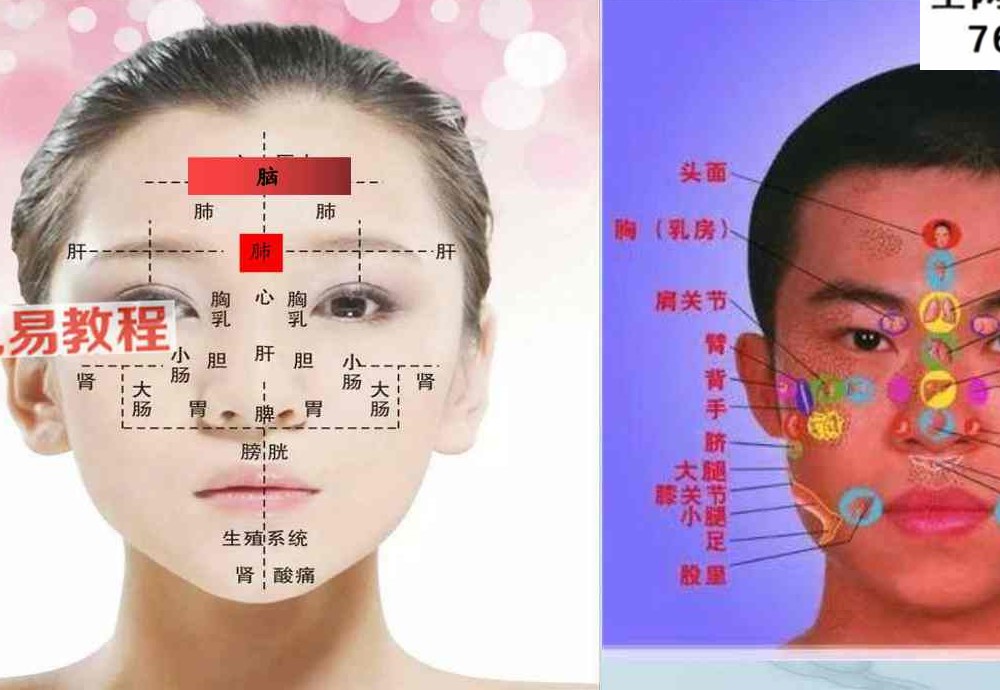 综合望诊 pdf 两册 共150页
