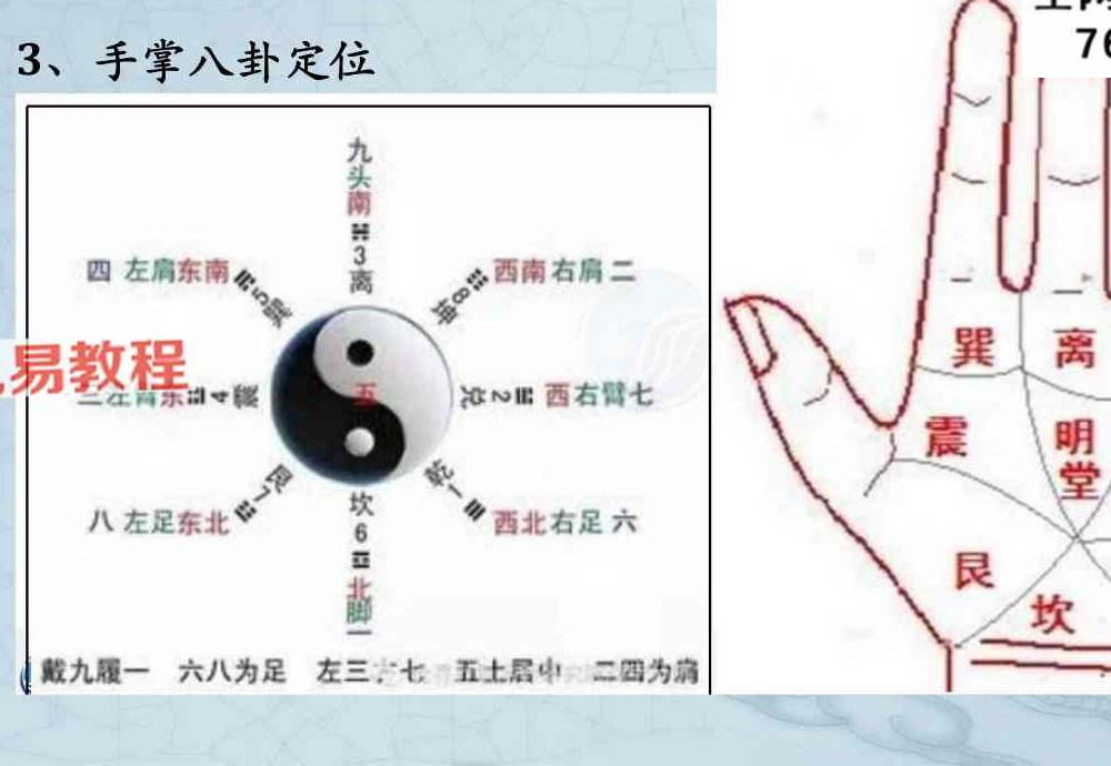 综合望诊 pdf 两册 共150页