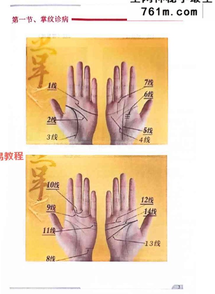 综合望诊 pdf 两册 共150页