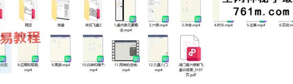 宋氏飞盘《宋奇鸿高阶鸿门班》小众稀缺、含金量极高 视频+案例