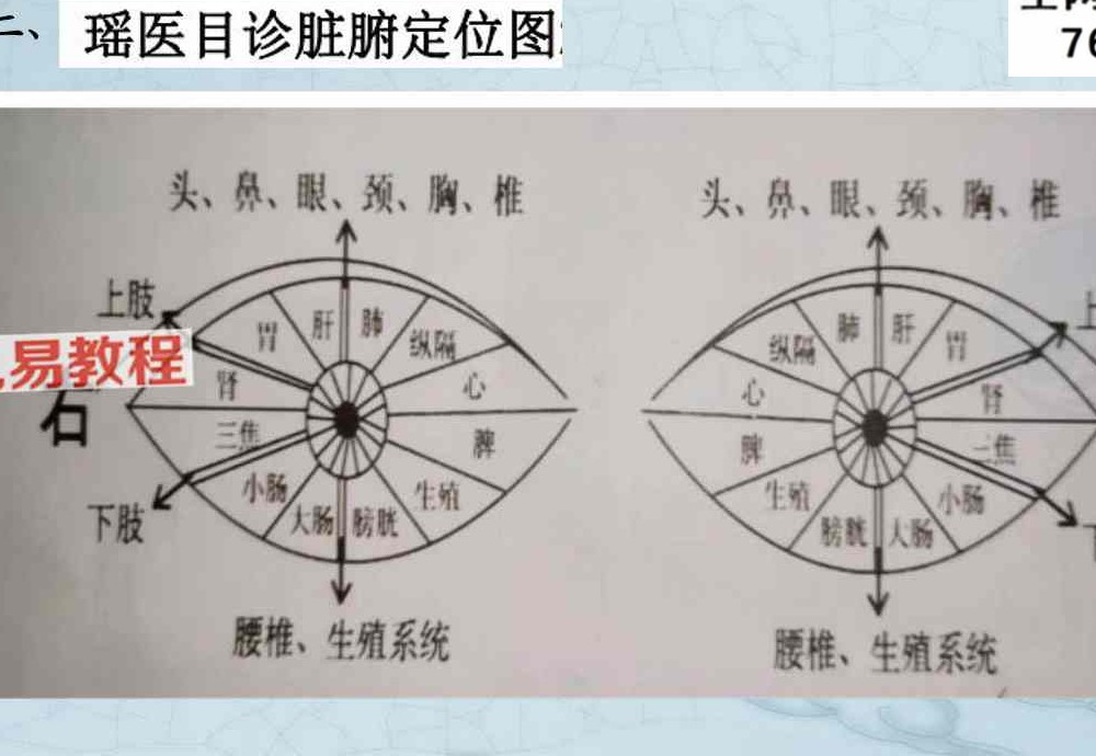 综合望诊 pdf 两册 共150页